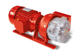 VTS FG Type DRY rotary vane vacuum pumps